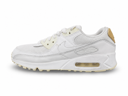 Nike Air Max 90 Men’s Shoes